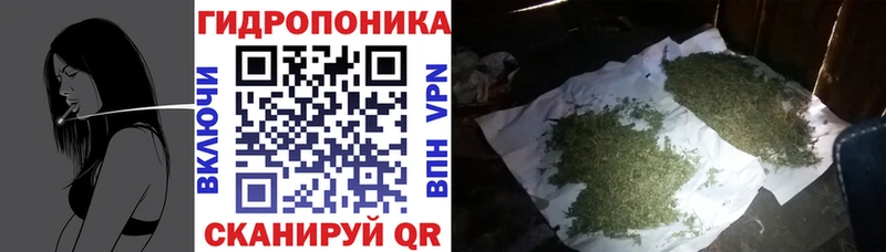 Бошки марихуана конопля  дарнет шоп  Воткинск 